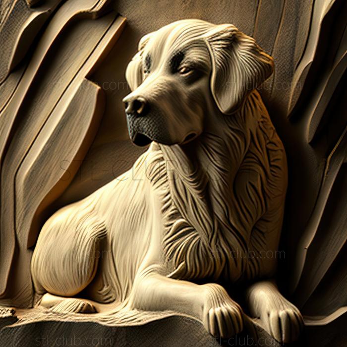 3D model st Anatolian Shepherd dog (STL)